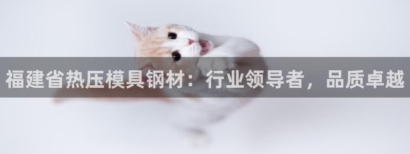 易倍达科技有限公司官网：福建省热压模具钢材：行业领导者，