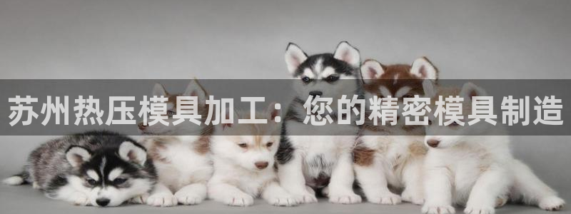 易倍申医保报销：苏州热压模具加工：您的精密模具制造