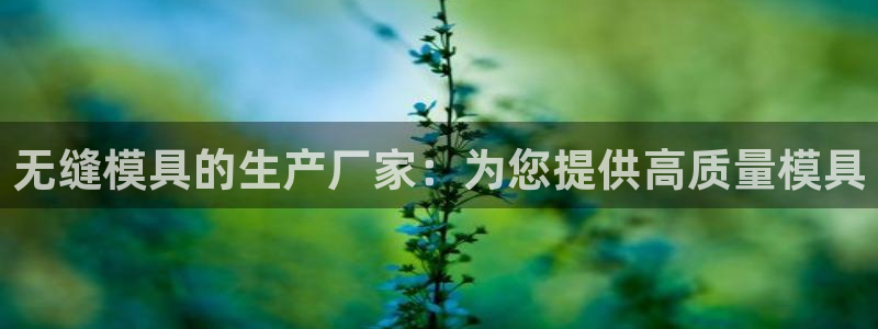 易倍达科技有限公司怎么样