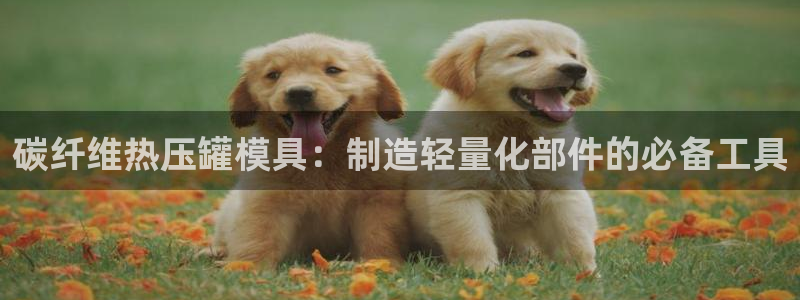 emc易倍电竞