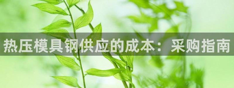 易倍网络技术有限公司怎么样
