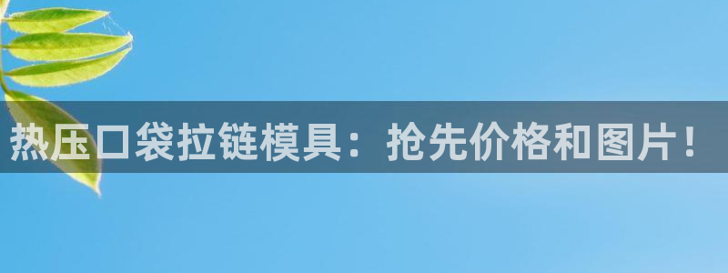 易倍单词app官网