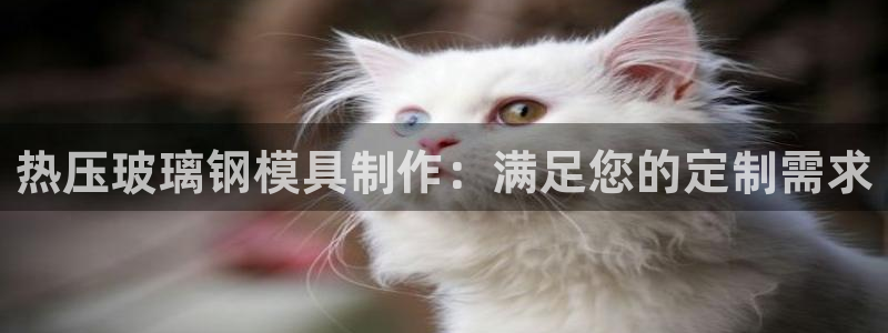 易倍电竞
