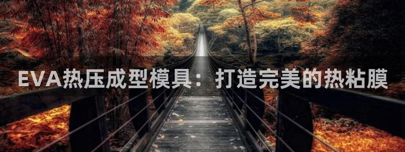 易倍申的价格