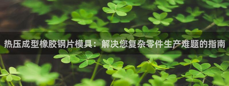 易倍单词官网下载：热压成型橡胶钢片模具：解决您复杂零件生
