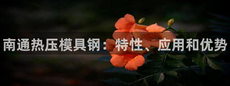 EMC倍频是什么意思：南通热压模具钢：特性、应用和优势