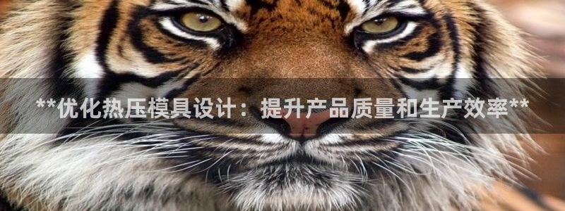 emc下载：**优化热压模具设计：提升产品质量和生产效率