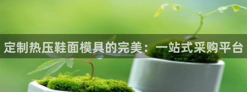 易倍网络技术有限公司官网：定制热压鞋面模具的完美：一站式
