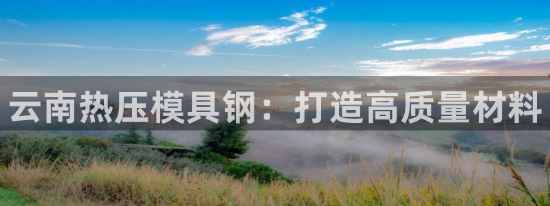 易倍康简历：云南热压模具钢：打造高质量材料